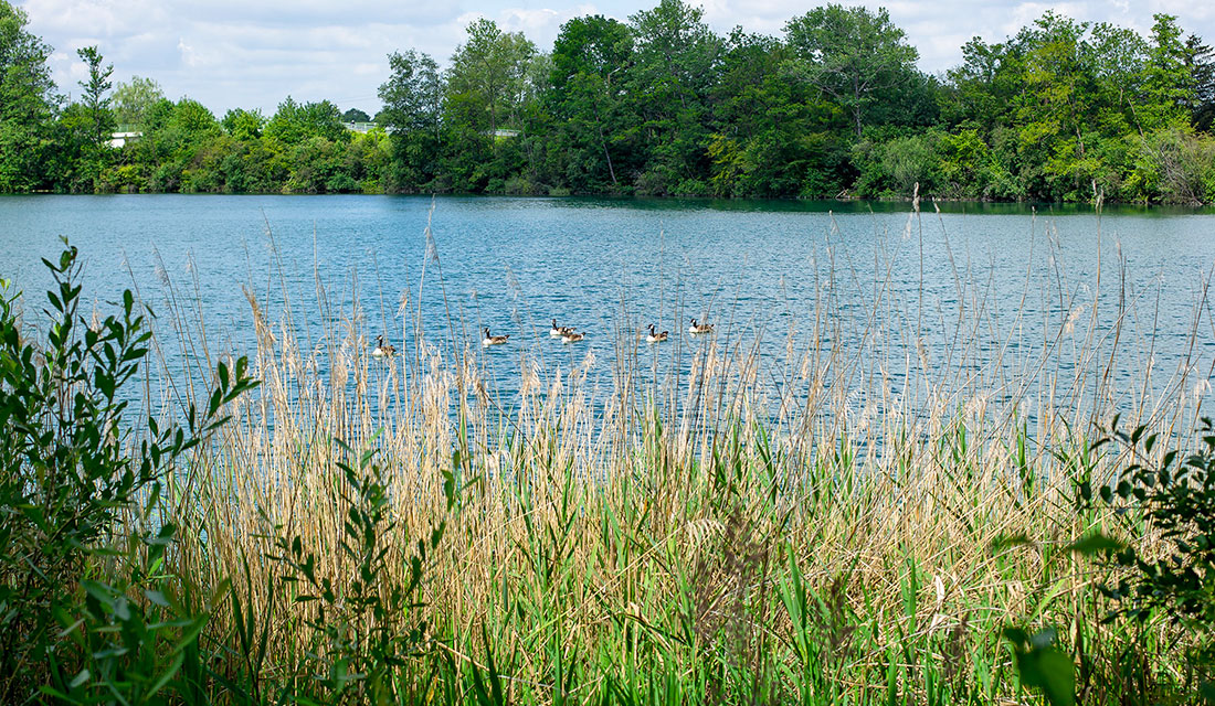 Langwieder See